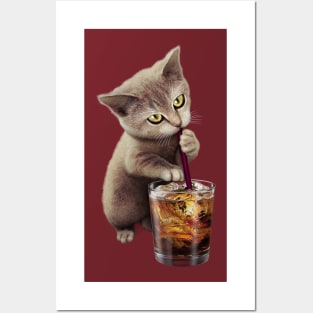 CAT & SOFT DRINK 2017 Posters and Art